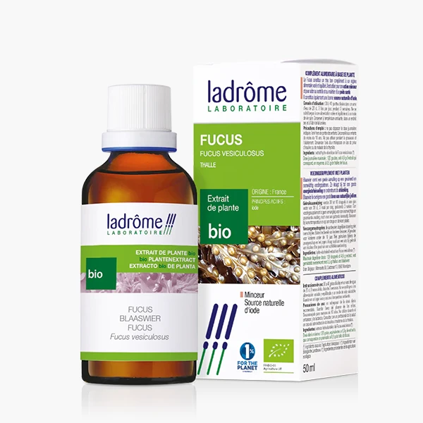 Ladrome Blaaswier bio tinctuur