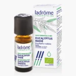 Etherische olie Eucalyptus radiata bio - Ladrôme