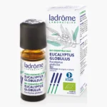 Eucalyptus globulus bio essentiële olie - 10 ml